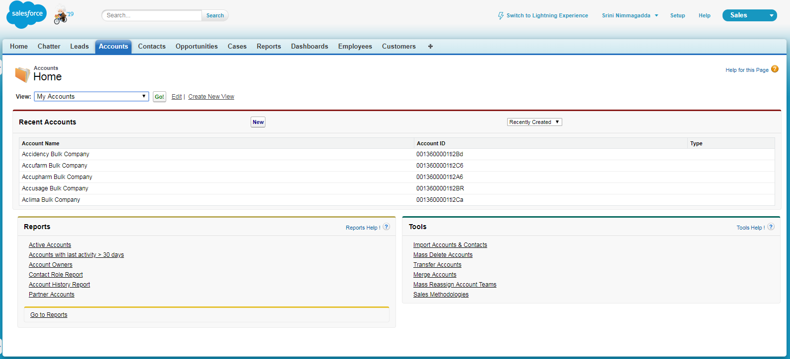 Account Custom VisualForce Page